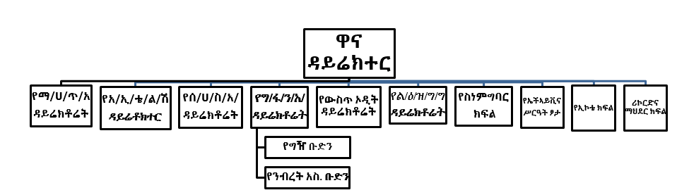 የማዕድንና ኢነርጂ ኤጄንሲ መዋቅር